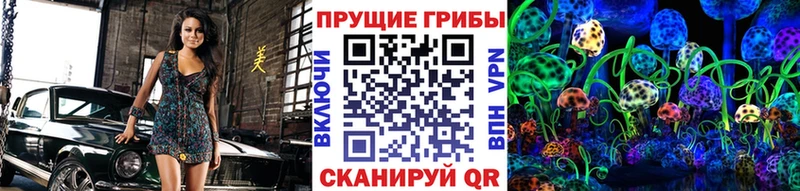 МЕГА ссылка  цены   Холм  Псилоцибиновые грибы Cubensis 